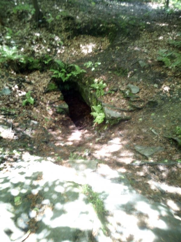 02.06.2019 Magurka Wilkowicka