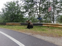 2019.06.22-07.06 Rumunia - akcja turystyczna