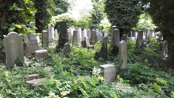 2024.06.02 Cmentarz Żydowski w Bielsku