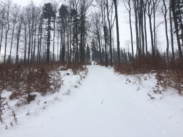 2017.01.06 Skitoury R&oacute;wnica