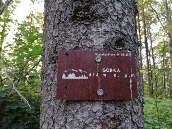 G&oacute;rka 474 m.n.p.m.