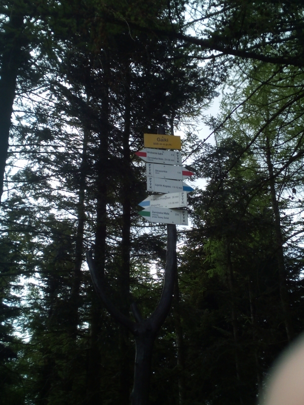 2020.05.10 Gaiki