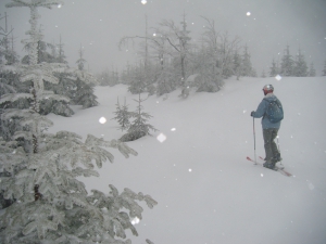 2013.02.03 Narciarski spacer po p&oacute;łnocnych stokach Malinowa