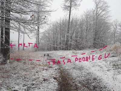 2022.11.18 Puchar 12 Wzniesień. Borowina