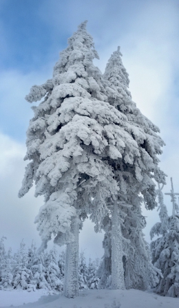 2016.01.19 Małe Skrzyczne P12W - narty