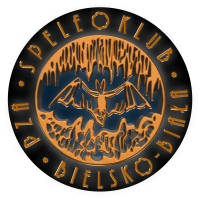 Walne Zebranie Sprawozdawczo - Wyborcze