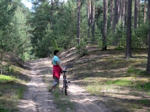 2017.06.15-18 Bory Stabrawskie na rowerach