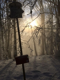 2015.12.10-12 Beskid Niski