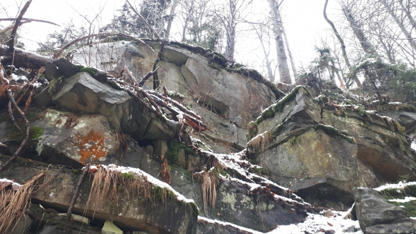 2024.02.21 Akcja narciarska w masywie Skrzycznego