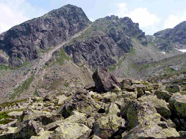 Fotka pożyczona z Wikipedii, ponieważ nie mieliśmy aparatu :(