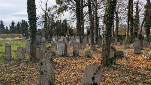 2025.11.02 Sekcja Archeologiczna przy SBB w Andrychowie