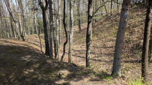 2026.04.10 Wołek - Beskid Mały