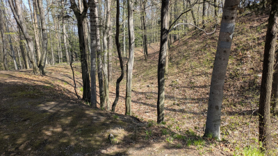 2026.04.10 Wołek - Beskid Mały