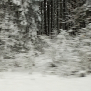 2023.11.19 Jaskinia Czarna