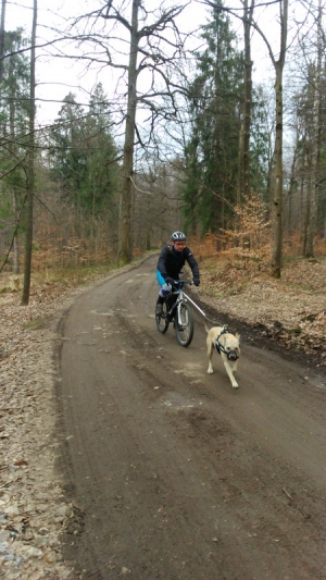 2016.03.25 Bikejoring
