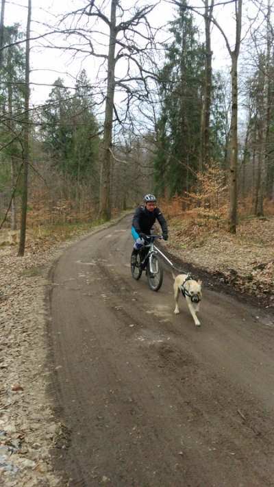 2016.03.25 Bikejoring