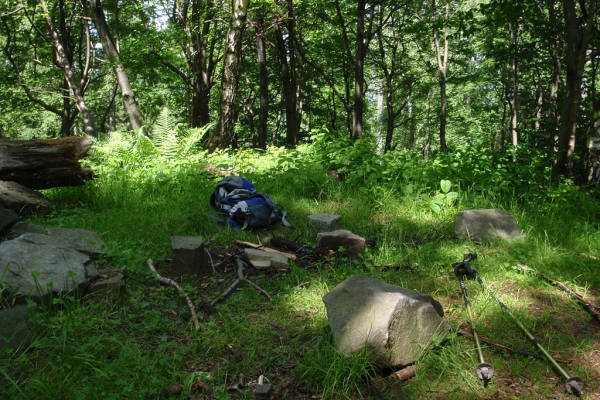 2013.06.13 P10W Palenica