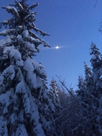 2019.01.14 P12W Łazek - narty