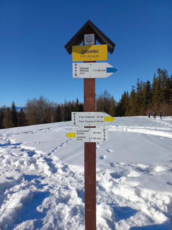 2025.01.19 Akcja narciarska - Jałowiec