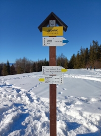 2025.01.19 Akcja narciarska - Jałowiec