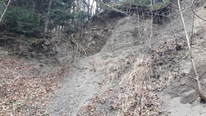 2020.03.29 Beskid Mały