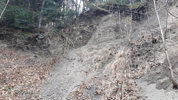 2020.03.29 Beskid Mały