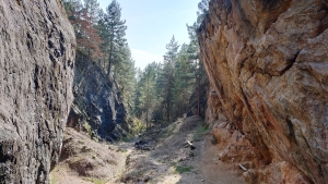 Stok&oacute;wka