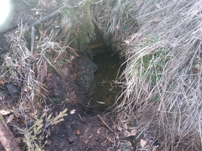 2019.03.31 Eksploracja beskidzka