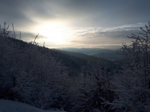2021.01.18 P12W - Magurka, akcja narciarska