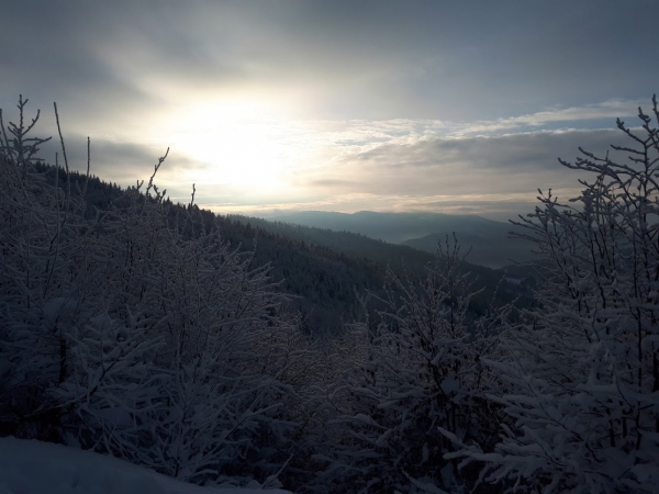 2021.01.18 P12W - Magurka, akcja narciarska