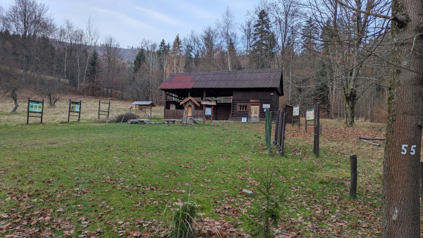 2025.11.16 Dolina Roztoki w Czernichowie - Beskid Mały