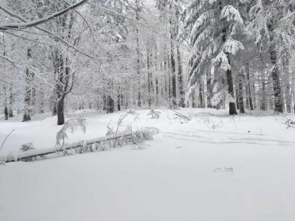 2019.01.06 P12W Łazek