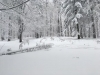 2019.01.06 P12W Łazek