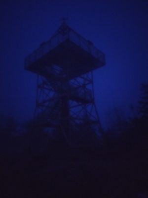 2020.11.01 W poszukiwaniu miejsca do morsowania