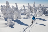2019.01.30 Beskid Żywiecki