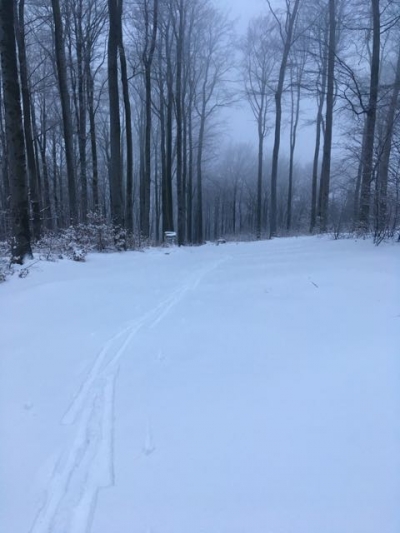 2019.01.02 - P12W Borowina /narty/
