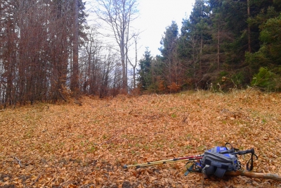 2013.12.25 Borowina P10W - domknięcie (przed-)świątecznego tryptyku podbiegowego
