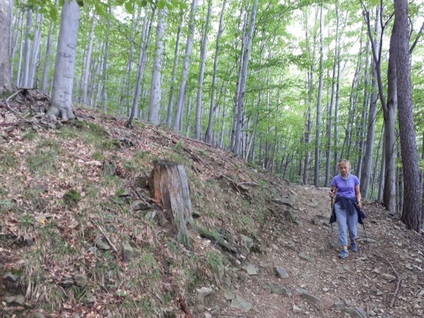 2019.08.04 Przełęcz Targanicka - Beskid Mały