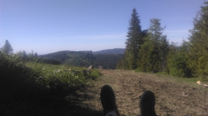 2017.06.02 P12W - Golgota