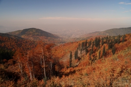 2013.10.12 Magurka Wilkowicka