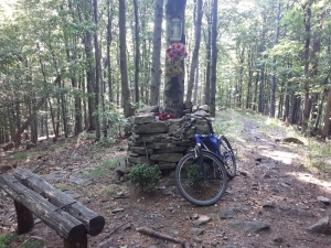 2022.06.26 Bujakowski Groń 749 m. Beskid Mały