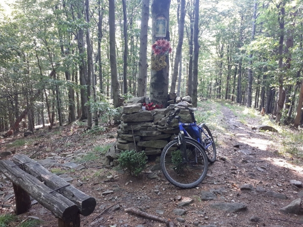 2022.06.26 Bujakowski Groń 749 m. Beskid Mały