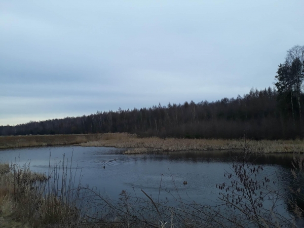 2020.02.22 Katowice - zwiedzanie okolicy