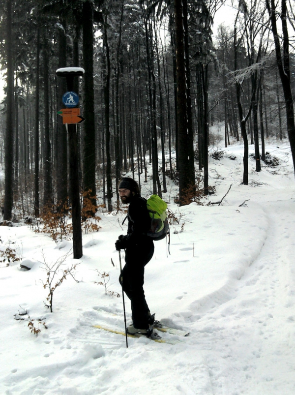 2013.02.15 Wyprowadzanie fok na spacer