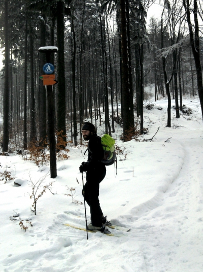 2013.02.15 Wyprowadzanie fok na spacer