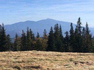 2018.10.06 Sprawozdanie zastępcze