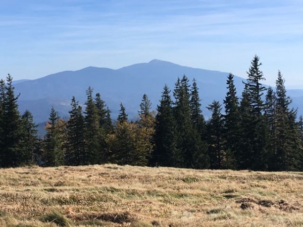 2018.10.06 Sprawozdanie zastępcze