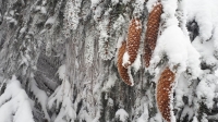 2022.12.15 Beskid Śląski - akcja narciarska