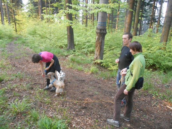 2014.04.30 Puchar 12 Wzniesień - Łazek - Beskid Śląski