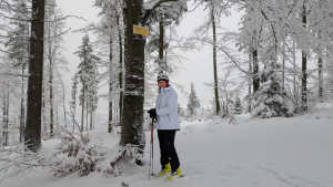 2025.11.27 Beskid Śląski